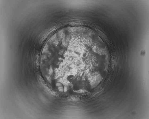 X0000112930729200910051131
