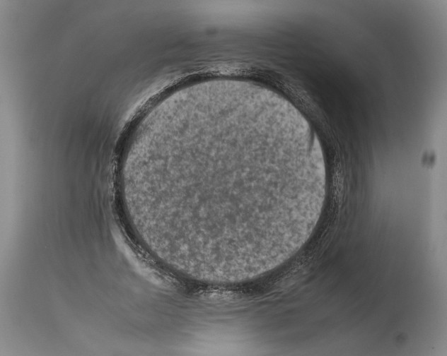 X0000112930730200910051131