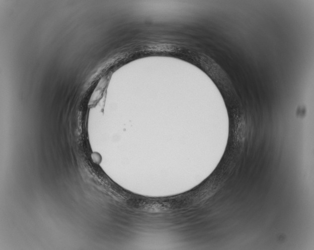 X0000112930731200910051131