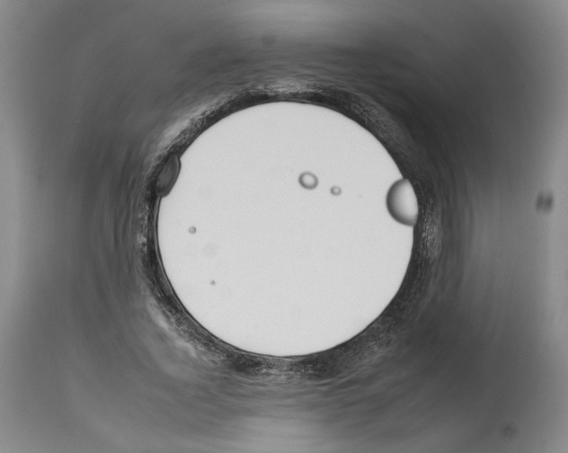 X0000112930732200910051131