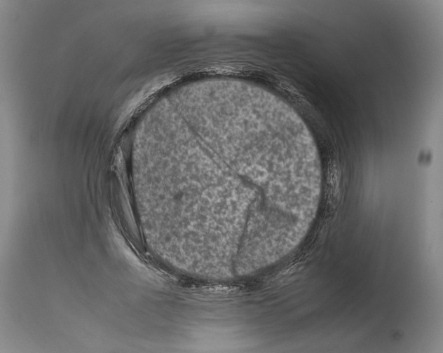 X0000112930734200910051131