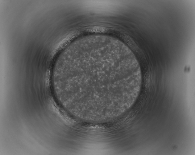 X0000112930735200910051131
