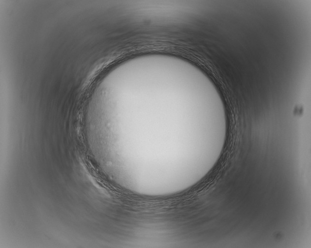 X0000112930736200910051131