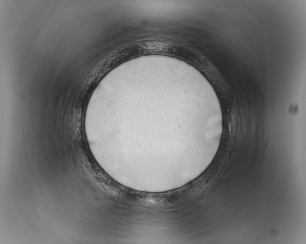 X0000112930737200910051131