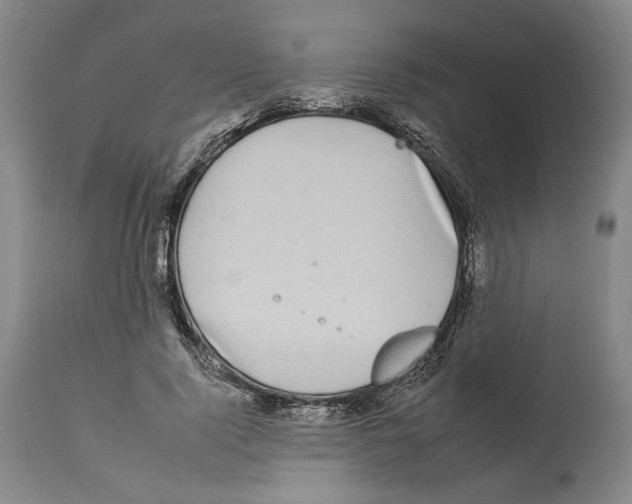 X0000112930740200910051131