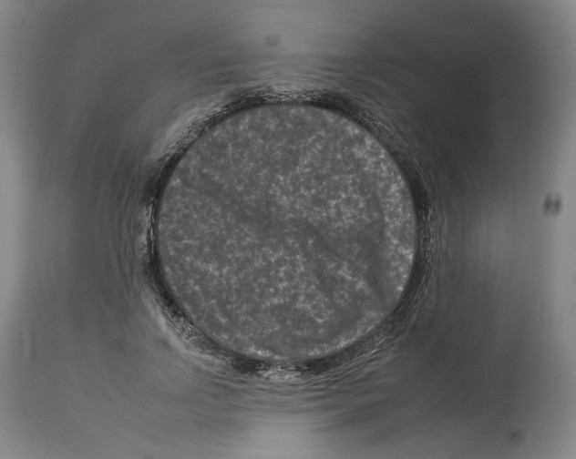 X0000112930742200910051131