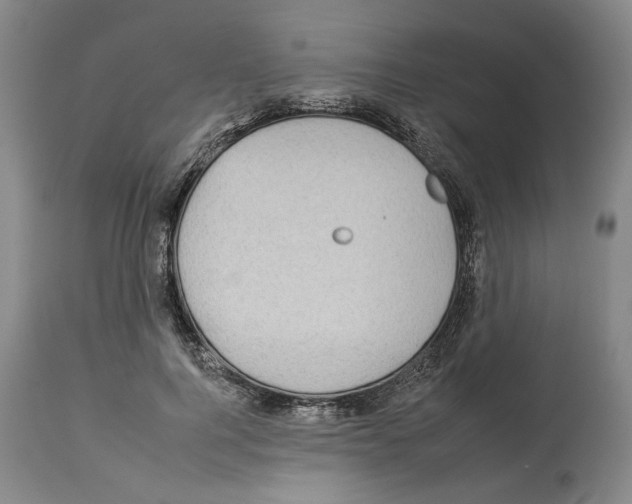 X0000112930744200910051131