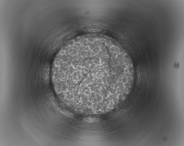 X0000112930745200910051131