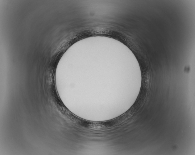 X0000112930746200910051131