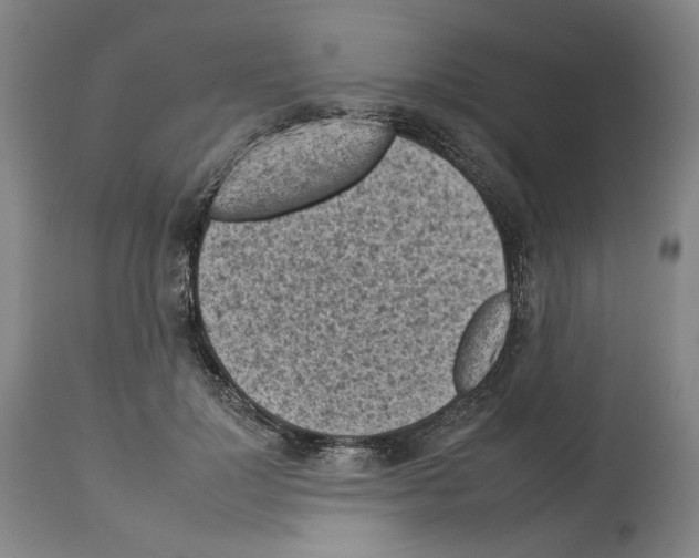X0000112930748200910051131