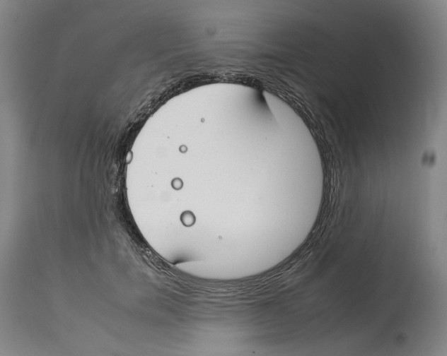X0000112930750200910051131