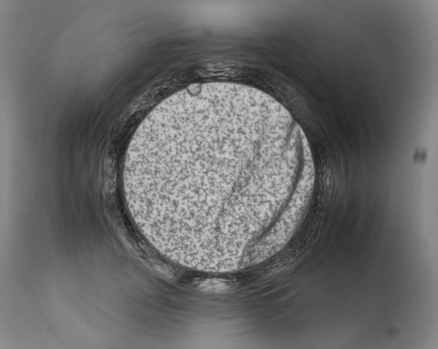 X0000112930751200910051131
