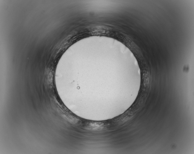 X0000112930753200910051131