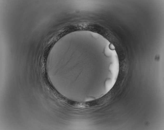 X0000112930754200910051131