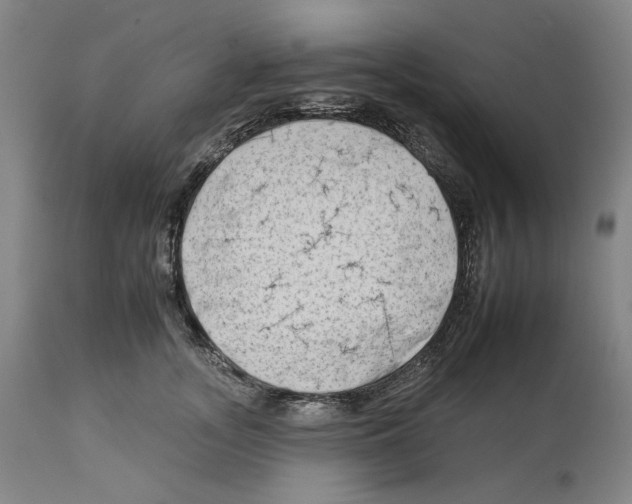 X0000112930755200910051131