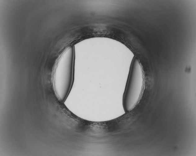 X0000112930756200910051131