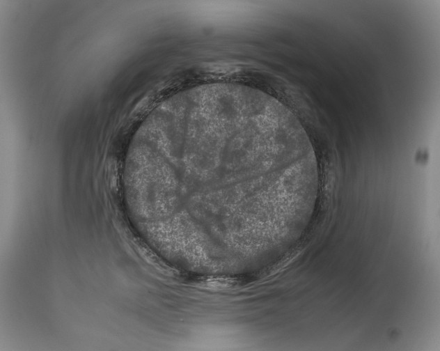 X0000112930758200910051131