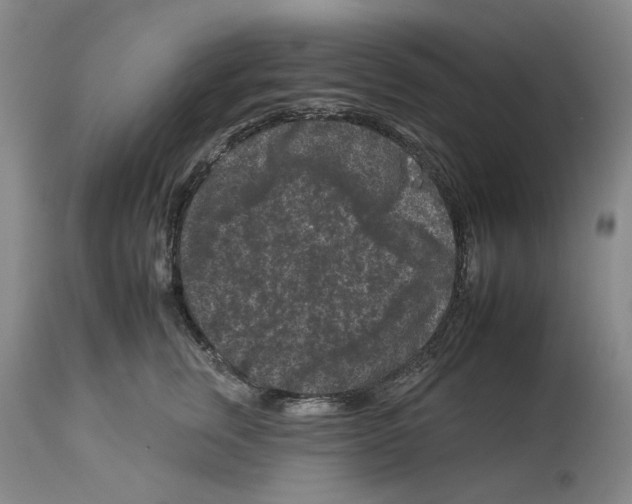 X0000112930759200910051131