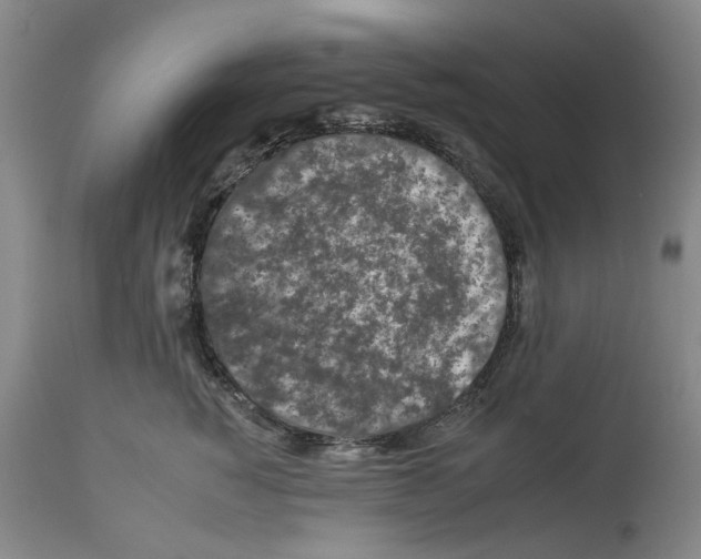 X0000112930760200910051131