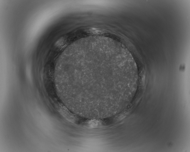 X0000112930762200910051131