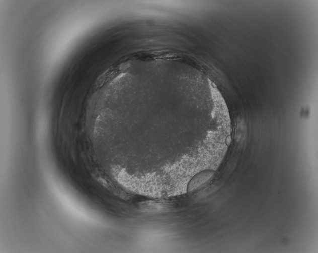 X0000112930763200910051131