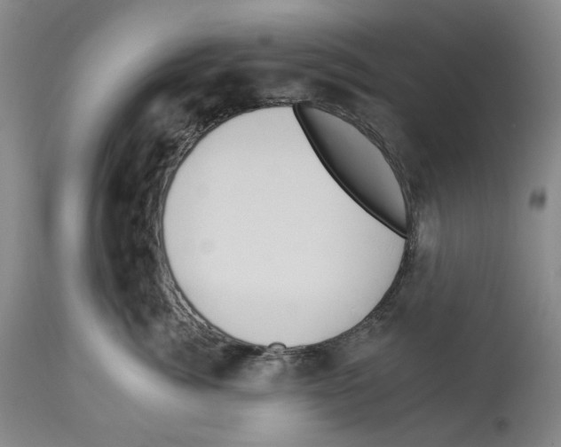 X0000112930764200910051131
