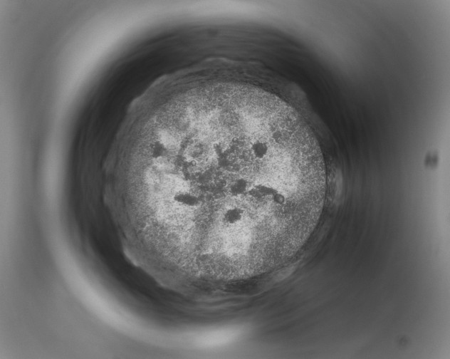 X0000112930765200910051131