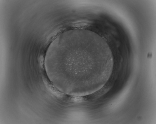 X0000112930767200910051131