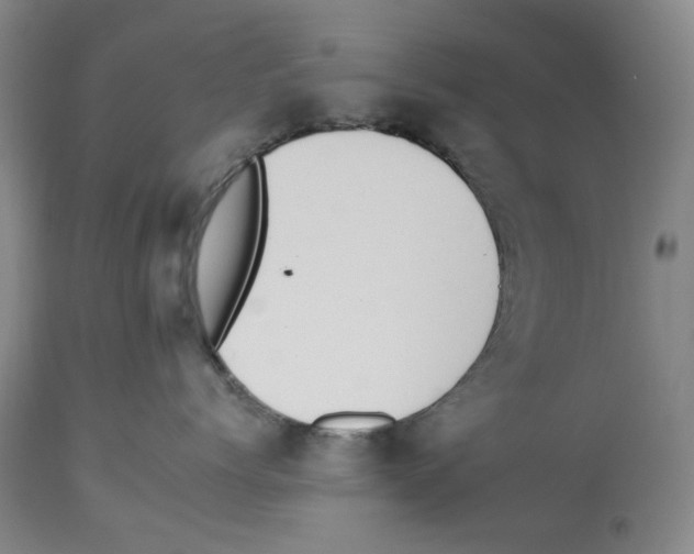 X0000112930768200910051131
