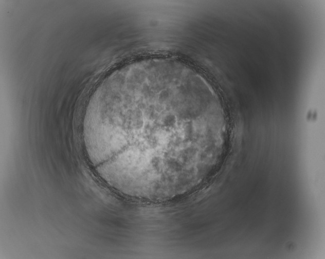X0000112930769200910051131