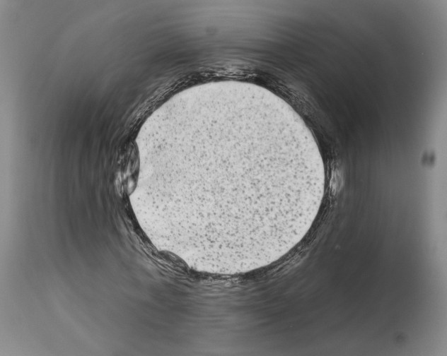 X0000112930771200910051131