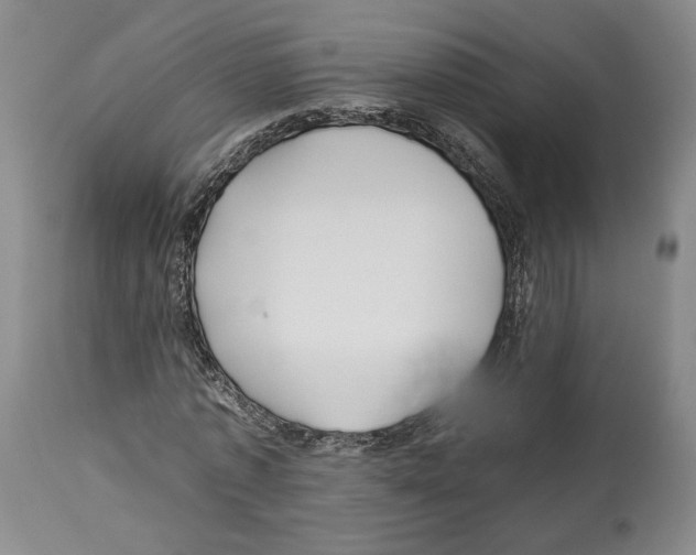 X0000112930773200910051130