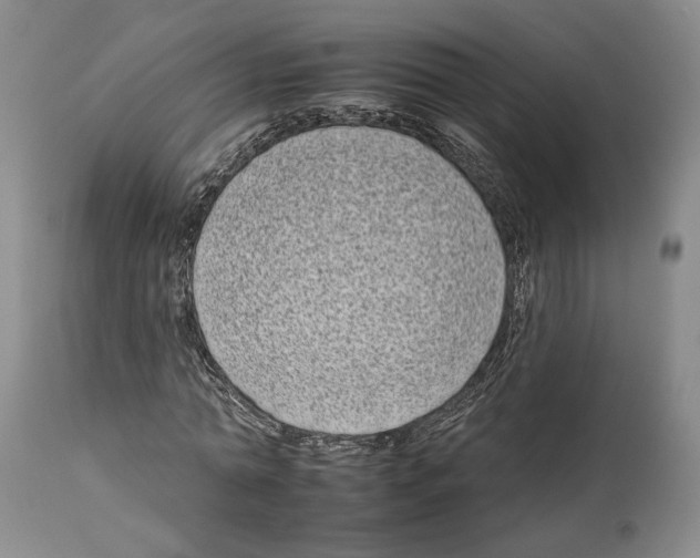 X0000112930774200910051130