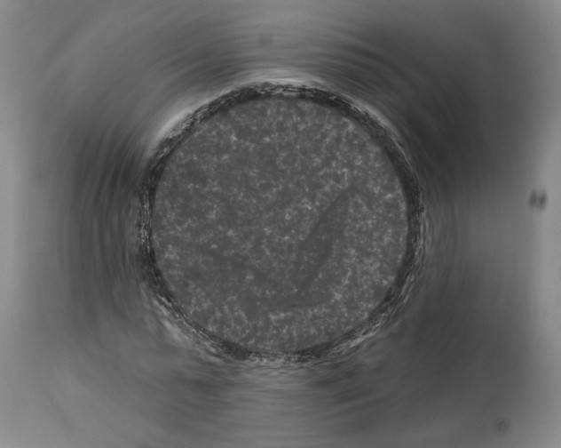 X0000112930775200910051130