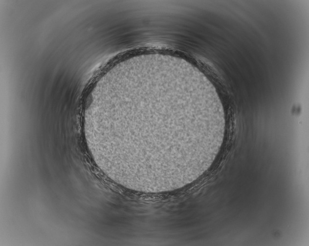 X0000112930776200910051130