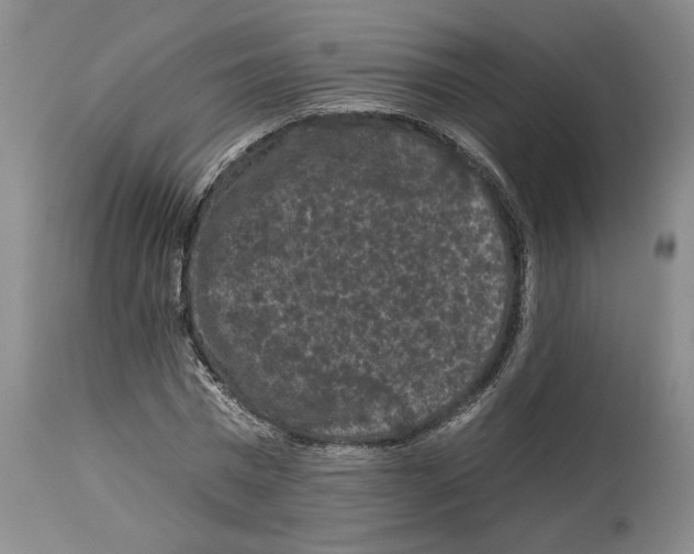 X0000112930777200910051130