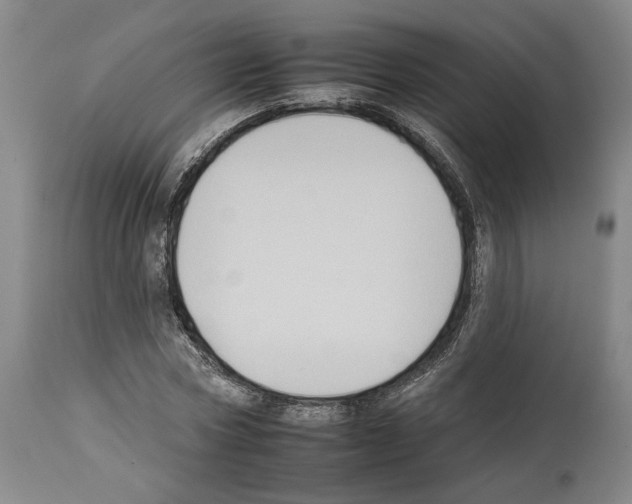X0000112930778200910051130