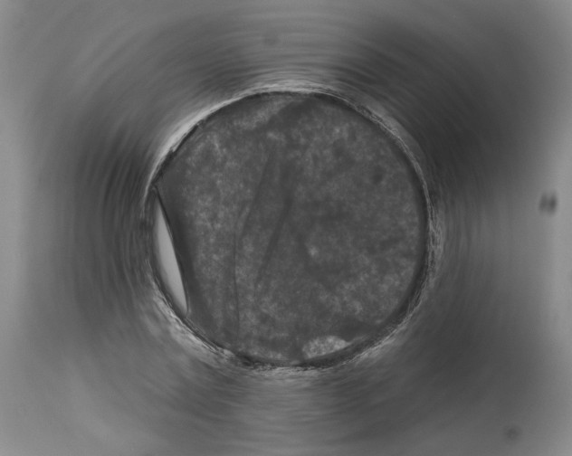 X0000112930779200910051130