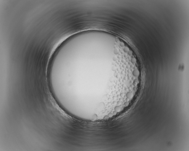 X0000112930780200910051130