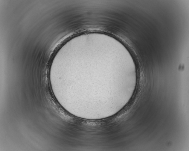 X0000112930782200910051130
