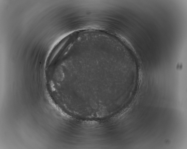 X0000112930784200910051130