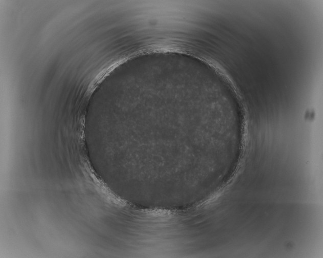 X0000112930785200910051130