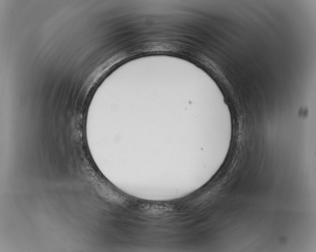 X0000112930786200910051130