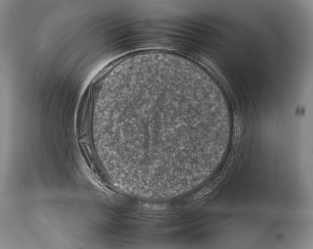 X0000112930788200910051130