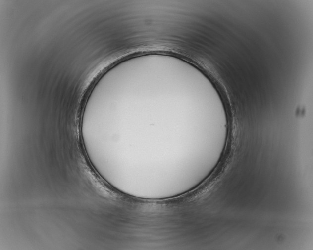 X0000112930789200910051130