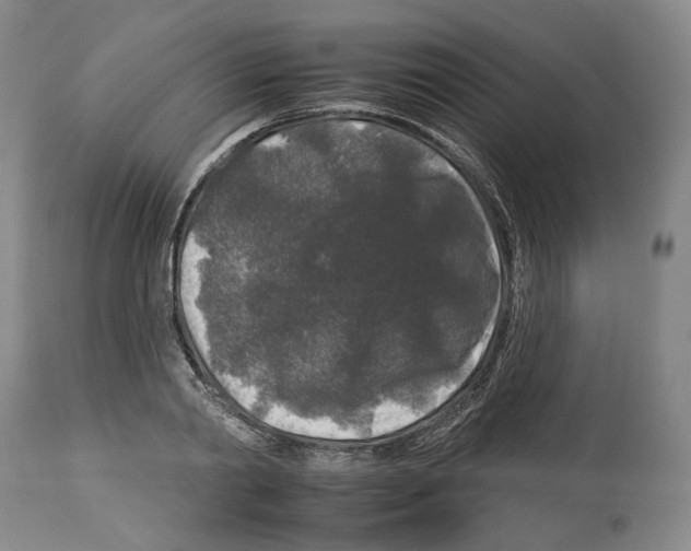 X0000112930790200910051130