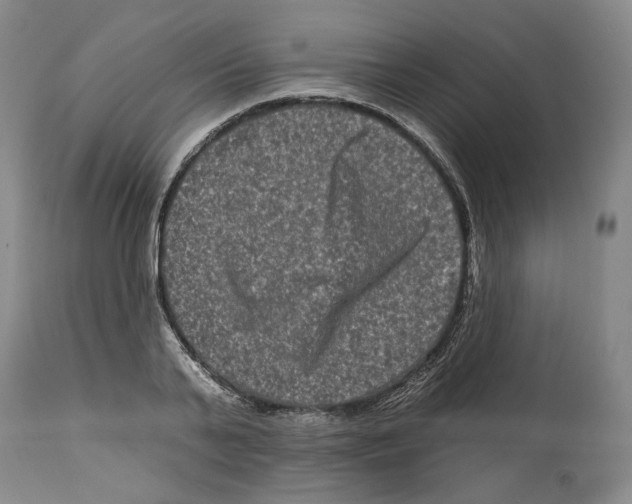X0000112930791200910051130