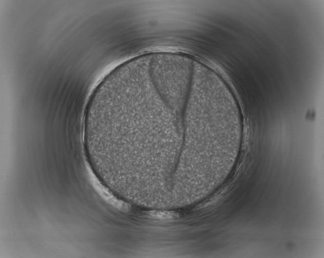 X0000112930795200910051130