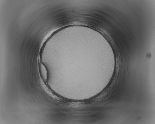 X0000112930796200910051130