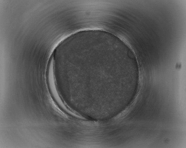 X0000112930797200910051130